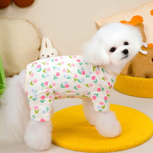  Ȃ ~ g H~ wJ  [EFA p㕞 Ȏ _炩 ETM ё΍ h hbOEFA  ^p pW} Jo[I[ p[X ̎q v[