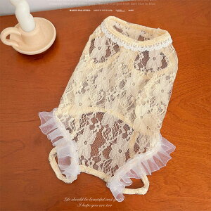 �y�S���i�|�C���g10�{�zNEW! ������ ���̕� �L�� �Ȃ� ���[�X �I�[���V�[�Y�� ���� ���� �ʋC�����Q �t���� �m�[�X���[�u ���^�� ���^�� ������� ���� ���킢�� ���̎q �h�b�O�E�F�A �y