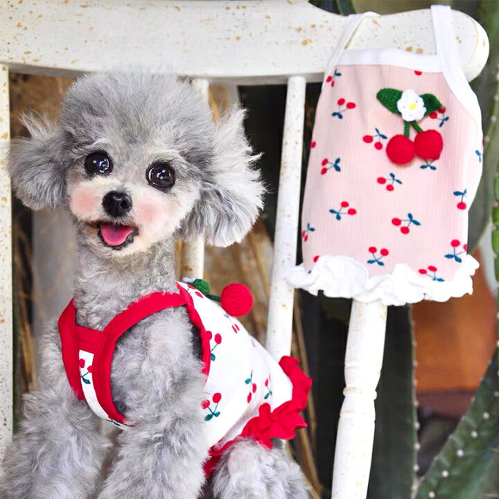 楽天市場】犬服 春 ドッグウェア キャミソール さくらんぼキャミソール 