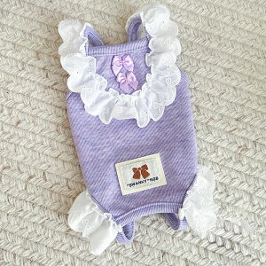 ySi|Cg5{zyL[gz  L t p[X Ȃ t  H ʔN LkQ [X { ̎q j̎q ^ Pn p[X m[X[u pW} 킢 