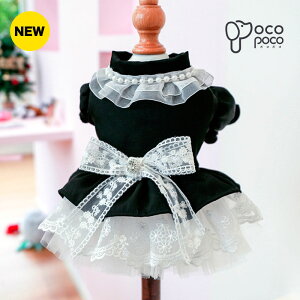 ySi|Cg5{z [^ s[X l [X { t hbOEFA RX`[  킢  hn U  ̎q y2023N