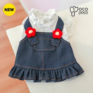  hbOEFA ̕ ybg  킢 t fj s[X U  X ̎q y2023NtV z