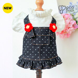 ySi|Cg5{z hbOEFA ̕ ybg  킢 t fj s[X U  X ̎q y2023NtV z