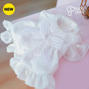  hbOEFA ̕ ybg  킢 t p[ s[X U  OhbO p[eB[ ̎q