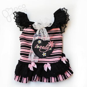 ySi|Cg5{z s[X L~s[X t t    킢  ₷ ̎q j̎q L Lk іh~ UEFA yA