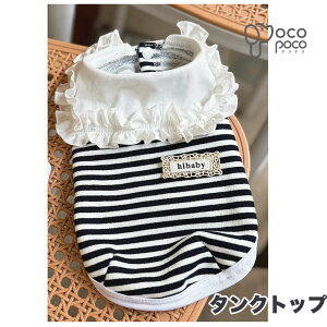 yő400~OFFN[|zzzy2025NtVz t s[X ^Ngbv DJt EFAn[lX q L 킢 _炩 lC hbOEFA ybg   