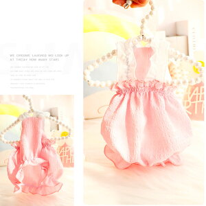  t s[X o[s[X   킢  ₷ ̎q j̎q ₷ іh~ UEFA yAbN L CX^f