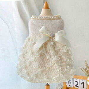 ySi|Cg5{z s[X H~ hbOEFA ybg hX OhbO p[ KN N? R[g RR LL g ӂӂ h  l