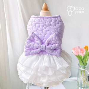 ySi|Cg5{z s[X H~ ttXJ[g hX t ӂ i ybgEGA ^?  킢  g _炩 h U