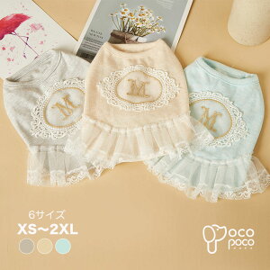 ySi|Cg5{z hbOEFA ̕ ybg 킢 t s[X U 