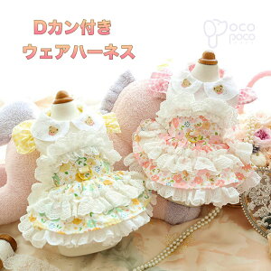  [^ n[lXs[X hbOEFA DJt RX`[ Ch  킢 nhCh p[eB[ vZX  hn U  ̎q ^ ^