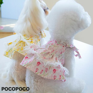 ySi|Cg5{z s[X hbOEFA ybgEFA ԕ o U ̕ 킢 t ₷ IV  ʋC ybgpi іh~ UEFA yA