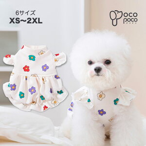 ySi|Cg5{z s[X t ԕ Vv   킢  ₷ ̎q j̎q іh~ UEFA yAbN CX^f