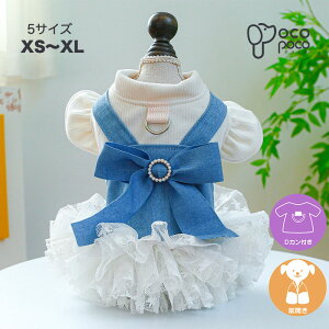 ySi|Cg5{z s[X DJt l p[ { t hbOEFA  킢  U  ̎q