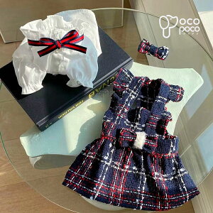 ySi|Cg5{z s[X uEX 2_Zbg d˒ hbOEFA MK`FbN {  킢  U  _炩 ̎q y2023NH~V z