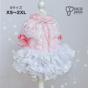 ySi|Cg2{z s[X ^ [^ hbOEFA RX`[ Ch  킢 nhCh p[eB[ vZX  hn U  ̎q 