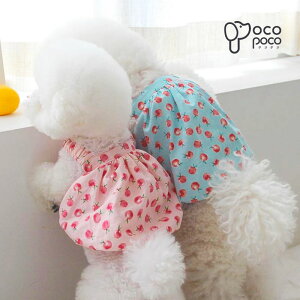 ySi|Cg5{z hbOEFA s[X  Ȏ ybgpi L JCC ^ ^ CX^f U ` gCv[h V[Y[ [L[ }`[Y