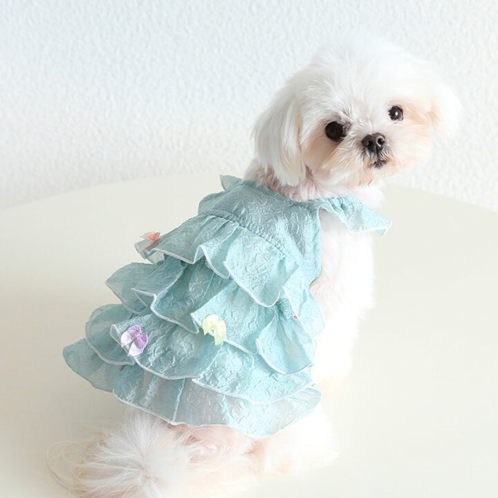 楽天市場】犬服 春 かわいい 春夏 涼しい ワンピース ドレス 小型犬用 
