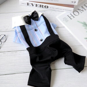 ySi|Cg5{z t Z[[ ttXJ[g s[X Ȃ ybgEFA Ck lR L Ȏ lC ybgpi o U   m t 킢