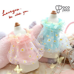 ySi|Cg5{z s[X hbOEFA  킢 p[eB[ vZX  U  Be ̎q ^ CX^f gCv[h ` }`[Yy