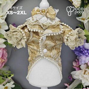 ySi|Cg5{z y3_Zbgz؂ȃ^LV[h WPbg CVc lN^C   X[c  EGfBO 畞  tH[} OhbO OJ j