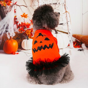 ySi|Cg5{z nEB s[X RX`[ ڂ `[XJ[g hbOEFA RXv  킢 ^ ^