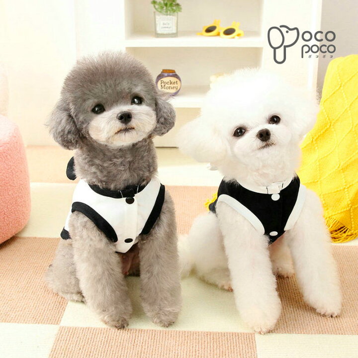 犬服可愛い猛獣達 Sサイズタンクトップオーダー可能 | ヤマダウェブコム