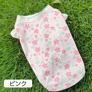 ySi|Cg5{z ĕ hbOEFA ^Ngbv t    j̎q ̎q JCC yAbN gCv[h `   킢 lC CX