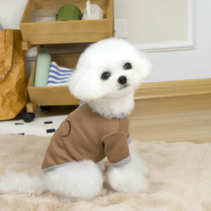  t ̕ j̎q ̎q JCC yAbN tVc   킢  ₷ CX^f ^
