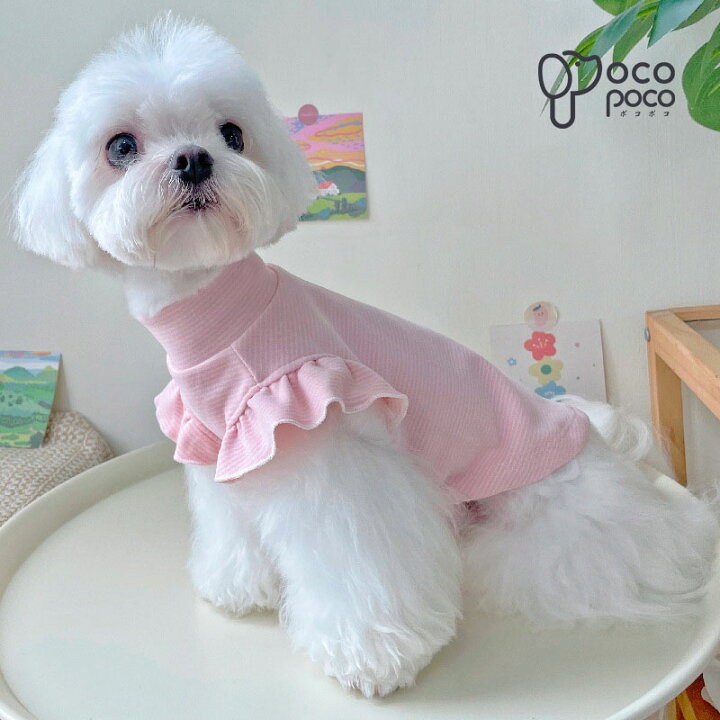 楽天市場】犬服 春 小型犬 可愛い タンクトップ Tシャツ カットソー 