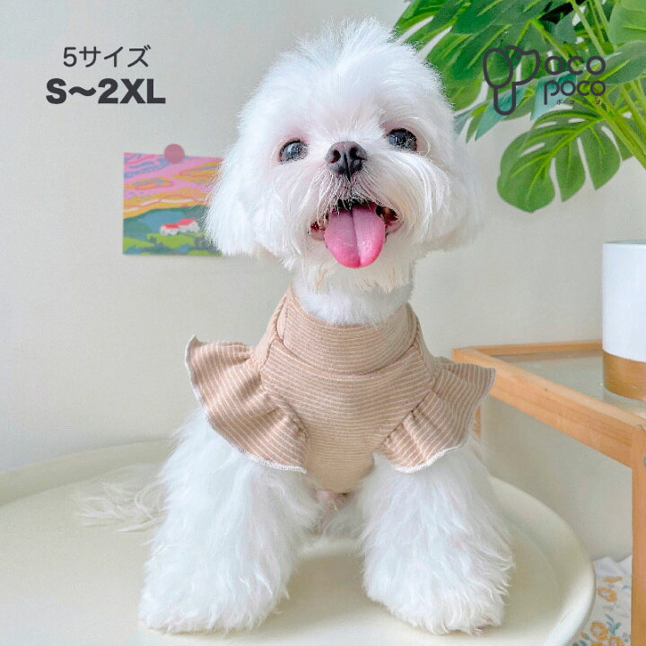 楽天市場】犬服 春 小型犬 可愛い タンクトップ Tシャツ カットソー 