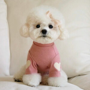 ySi|Cg5{z H ~ Jbg\[ hbOEFA JCC yAbN tVc   킢  ₷ ̎q j̎q CX^f lC CX^f 