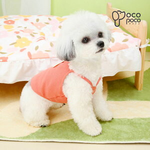 ySi|Cg5{z ĕ L~\[  hbOEFA Ȏ  _炩 Lk Ȃ m[X[u yAbN L  ̎q j̎q ^ lC CX^f