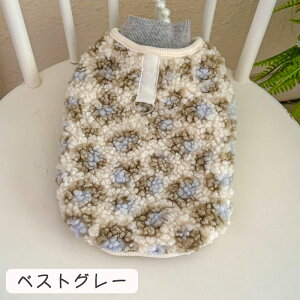  ~ xXg {An hbOEFA RR DJt n[lXEFA[ _炩 g ₷ ^ ^  킢  ۉ ΍