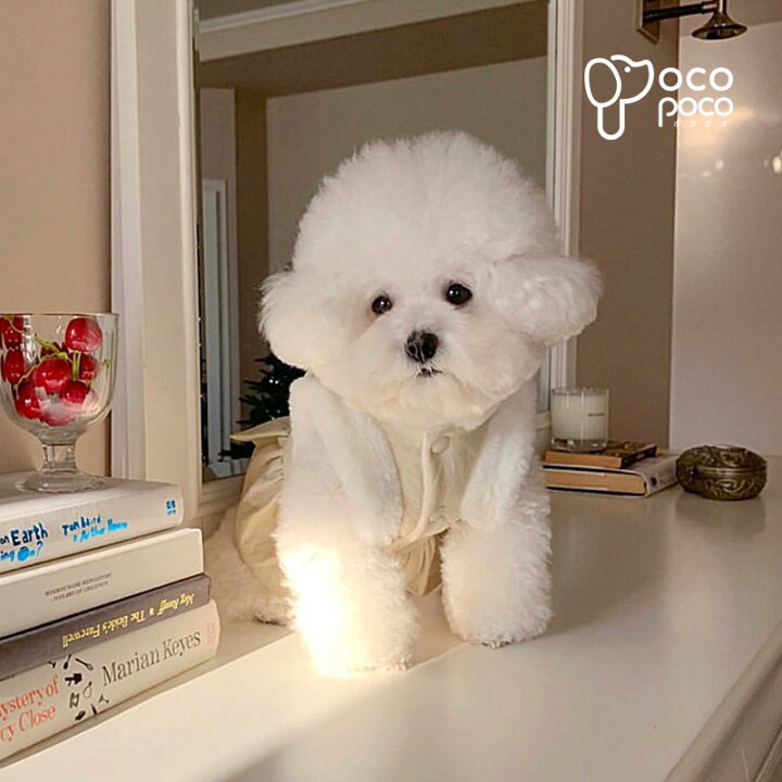 楽天市場】【エントリーで最大100％ポイントバック】犬服 秋冬 ベスト 