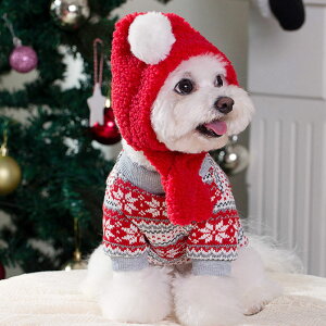 �y�S���i�|�C���g10�{�z�� �� �N���X�}�X �y�T���^�X�q�Z�b�g�z �m���f�B�b�N�� �j�b�g �X�q�t�� �~ �������� �Z�[�^�[ ��̌����� �h�b�O�E�F�A �H�~ �L�� ���^�� ���^��