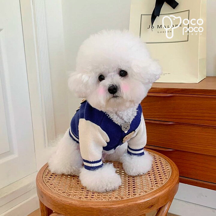 楽天市場】犬服 ドッグウェア ニット セーター 可愛い 長袖 クマ柄 