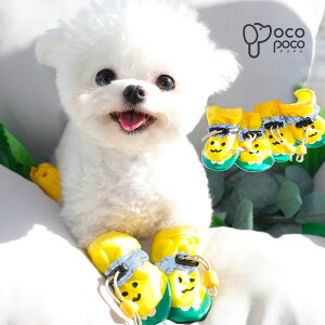  C pC ̌C hbOV[Y U  pu[c ybgpi  h~ PKh~ ybgObY  ~ ybgpi  bV  C ₷ 4Zbg