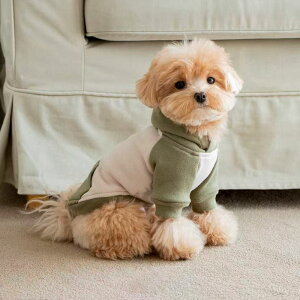  p[J[ H~ hbOEFA t[ht oCJ[ vI[o[    ̕ ^ ^ ybg L ̃|R|R