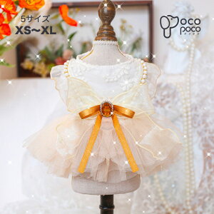 ySi|Cg5{z hbOEFA s[X hX EFfBOhX 킢  ̎q p[eB[hX i { [X LL  j OhbO 