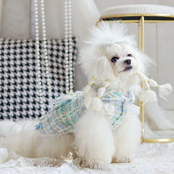 楽天市場 犬服 春夏 小型犬 可愛い 手作り犬服 ツイードワンピース ドッグウェア ハンドメイド お洒落着 職人手作り ペット服 大人気 おそろい おしゃれ オシャレ 父の日 母の日 敬老の日 セール おまけ 職人手作り犬服のポコポコ