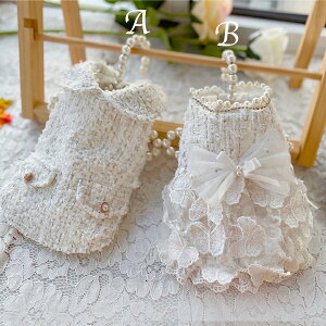 ySi|Cg5{z s[X ^ IV lC hJXzCgcC[hyAbN cC[hs[X hbOEFA nhCh  El ybg