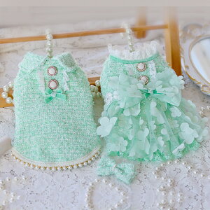 ySi|Cg5{z t  ~ s[X ^ hJXcC[hyAbN 茢 cC[hs[X hbOEFA  nhCh El ybg