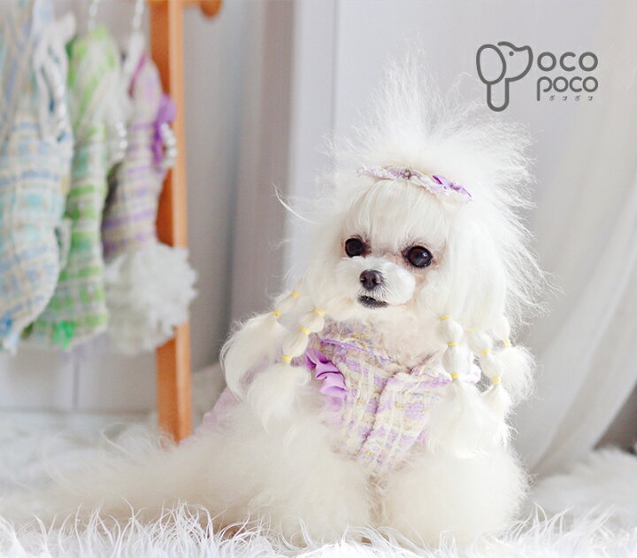 楽天市場 犬 冬服 手作り犬服 ツイードワンピース ドッグウェア お洒落着 ハンドメイド 職人手作り ペット服 ペットウェア おそろい ペアルック 愛犬 服 おしゃれ オシャレ 父の日 母の日 敬老の日 猫の日 職人手作り犬服のポコポコ