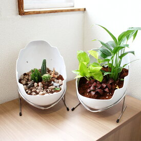 収納 小物入れ ディスプレイ スタンド 小物 インテリア 白い ABS樹脂 軽い 丈夫 観葉植物 フィギュア ぬいぐるみ 飾る 収納 装飾 EGG たまご ディスプレイスタンド 丸型 おしゃれ かわいい 可愛い インテリアスタンド 植物の鉢 観葉植物の鉢 かわいい小物入れ