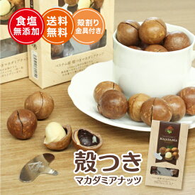 殻つき 殻付き マカダミアナッツ 140g 大粒 食塩無添加 ベトナム産 おつまみ おやつ お菓子作り トッピング プレゼント ギフト プチギフト ナチュラル そのまま食べれる 満足感 サクサク食感 美味しい 素材の味 手土産 金具つき 送料無料
