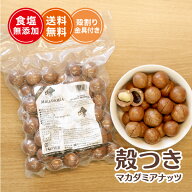 殻つき 殻付き マカダミアナッツ 500g 業務用 大容量 大粒 食塩無添加 ベトナム産 おつまみ おやつ お菓…