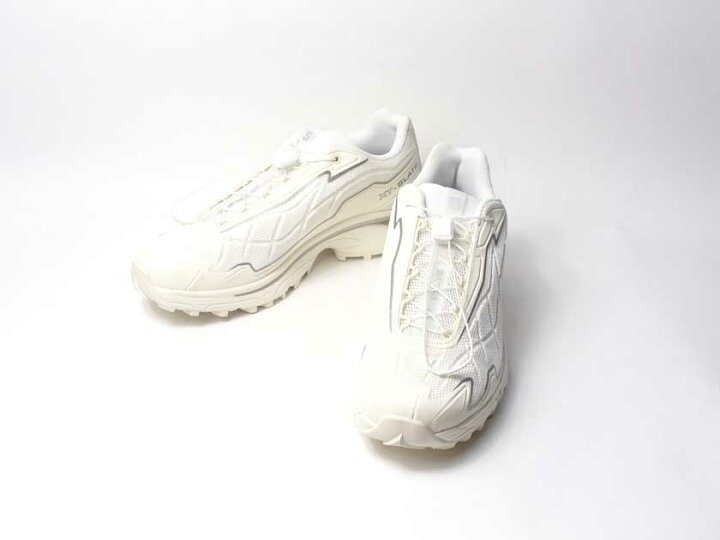 楽天市場】Special Price!!【SALOMON/サロモン】XT-SLATE ADVANCED 