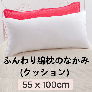 []ӂȖ̂Ȃ (NbV) 55x100cm_1.72kg