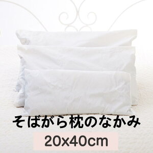 []΂疍̂Ȃ 20x40cm (350g) NEh20x40cm